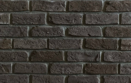 gannibal1